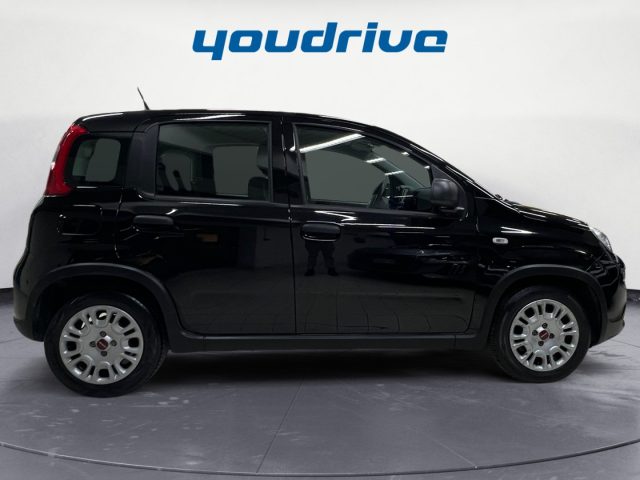 Fiat New Panda 1.0 FireFly S&S Hybrid KM 31.800, del 2023, 31.800 km, in vendita a Nola (NA)