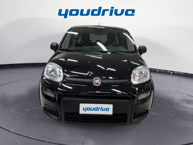 Fiat New Panda 1.0 FireFly S&S Hybrid KM 31.800 - foto 2 di 4
