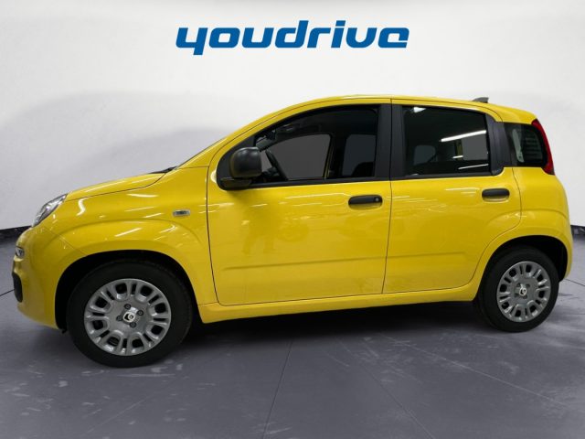 Fiat New Panda 1.0 FireFly S&S Hybrid Pop KM0 - foto 2 di 4