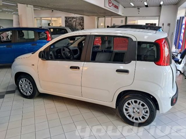 Fiat New Panda 1.0 FireFly S&S Hybrid Pop KM0 - foto 3 di 4