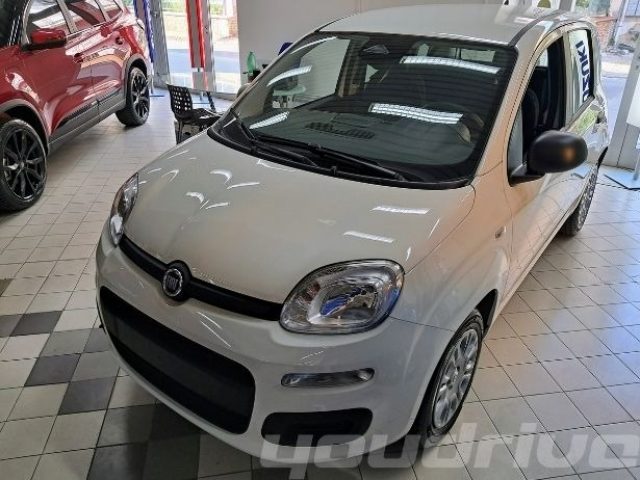 Fiat New Panda 1.0 FireFly S&S Hybrid Pop KM0 - foto 2 di 4