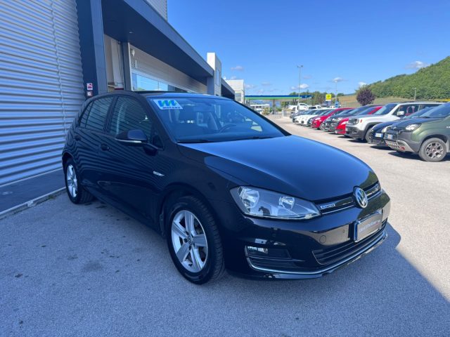 Volkswagen Golf 1.4 TGI 5p. Highline BlueMotion METANO - foto 3 di 4