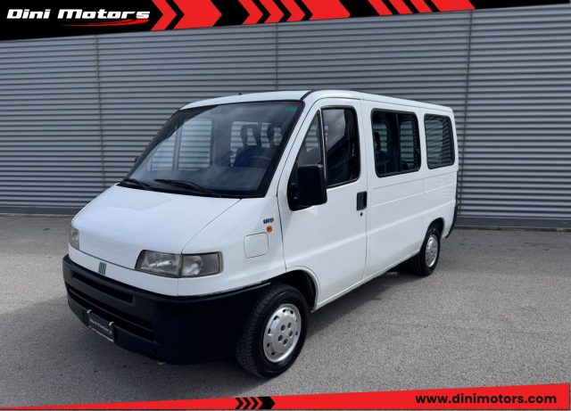 Fiat Ducato 9 posti 14 1.9 td diesel PM IVA ESPOSTA LEGGE 104 usato a SANT ANGELO IN VADO