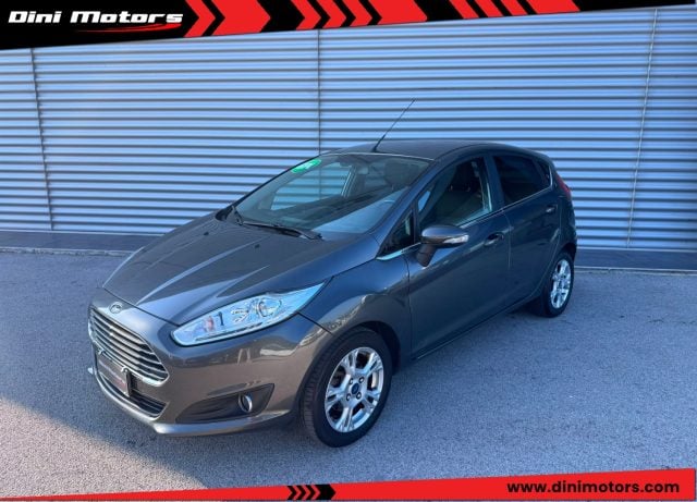 Ford Fiesta 1.4 5 porte GPL DI CASA Titanium OK NEOPATENTATO usato a SANT ANGELO IN VADO