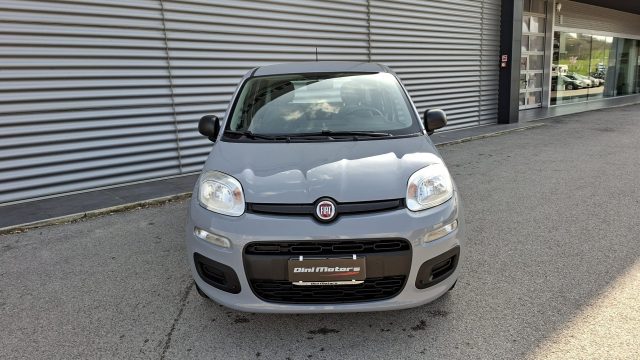 Fiat Panda 1.0 FireFly Hybrid City Life LEGGE 104 IVA ESPOSTA - foto 2 di 4