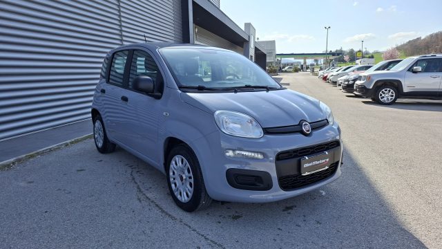 Fiat Panda 1.0 FireFly Hybrid City Life LEGGE 104 IVA ESPOSTA - foto 3 di 4