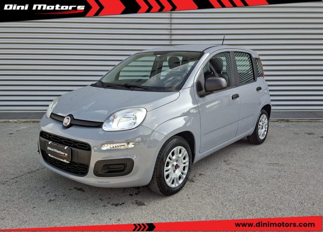 Fiat Panda 1.0 FireFly Hybrid City Life LEGGE 104 IVA ESPOSTA usato a SANT ANGELO IN VADO