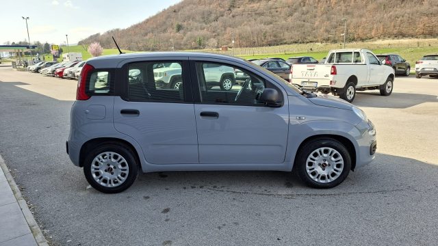 Fiat Panda 1.0 FireFly Hybrid City Life LEGGE 104 IVA ESPOSTA - foto 4 di 4