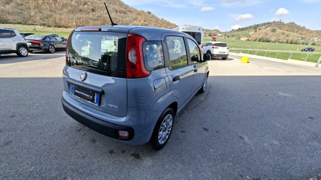Fiat Panda 1.0 FireFly Hybrid City Life LEGGE 104 IVA ESPOSTA usato a SANT ANGELO IN VADO