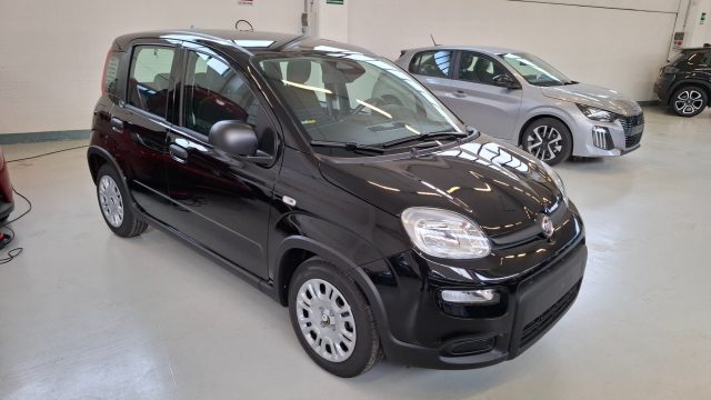 Fiat Panda 1.0 FireFly S&S Hybrid Pop km 0 a PALAZZOLO SULL OGLIO