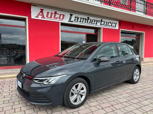 Volkswagen Golf 1.5 TGI DSG Life usato a SAN GINESIO