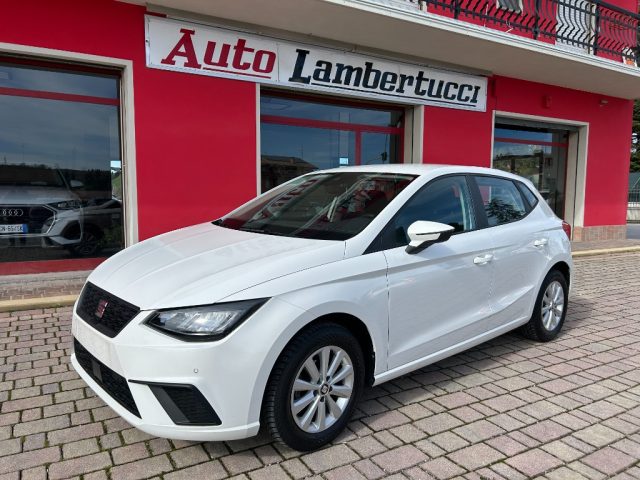 SEAT Ibiza 1.0 TGI 5 porte Business usato a SAN GINESIO