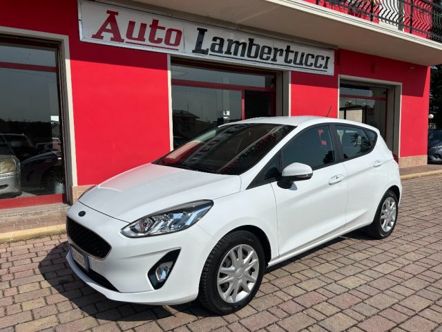 Ford Fiesta 1.5 EcoBlue 5 porte Business usato a SAN GINESIO
