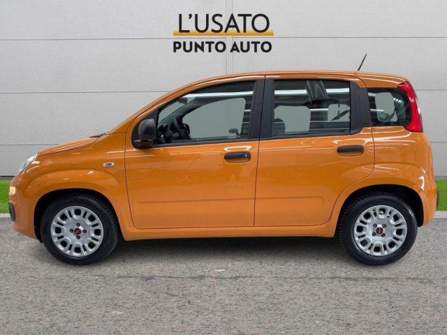 Fiat Panda 1.0 FireFly S&S Hybrid Easy - foto 4 di 4