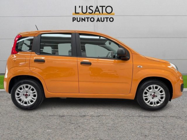 Fiat Panda 1.0 FireFly S&S Hybrid Easy - foto 3 di 4