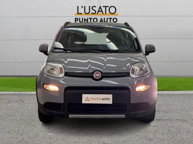 Fiat Panda 1.0 FireFly S&S Hybrid City Life usato a ANCONA