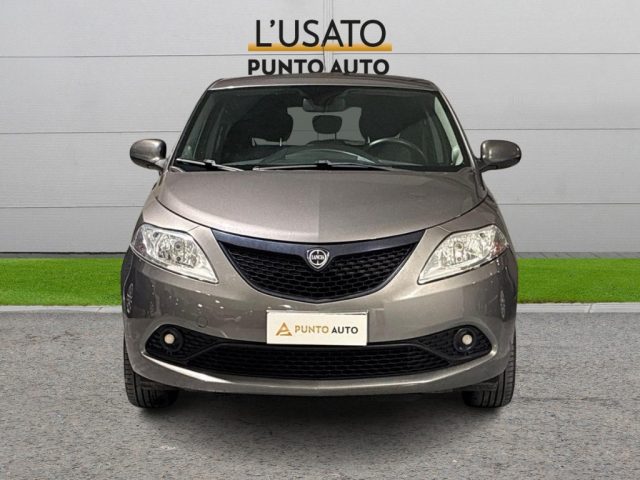 Lancia Ypsilon 1.2 69 CV 5 porte GPL Ecochic Elefantino Blu usato a ANCONA