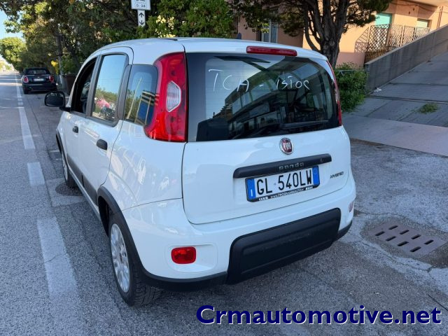 Fiat Panda 1.0 Hybrid Street Van 4 posti IVATO - foto 2 di 6