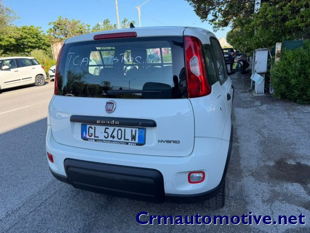 Fiat Panda 1.0 Hybrid Street Van 4 posti IVATO - foto 4 di 6