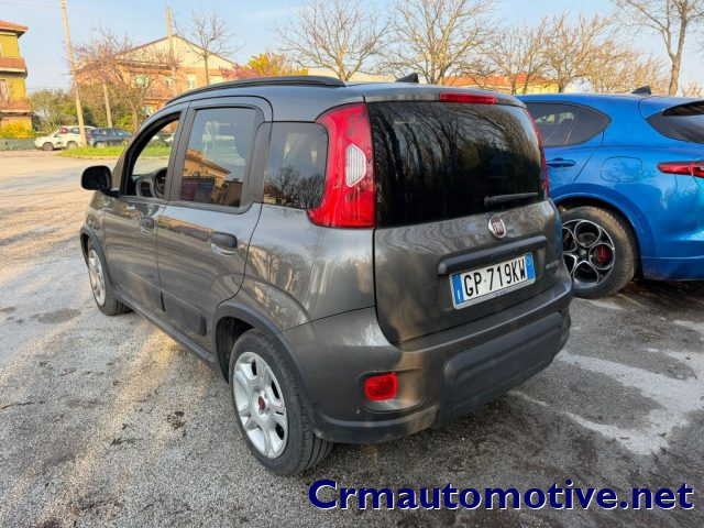 Fiat Panda 1.0 Hybrid usato a SENIGALLIA