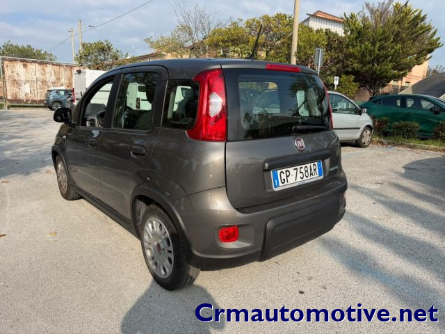 Fiat Panda 1.0 FireFly S&S Hybrid - foto 4 di 4