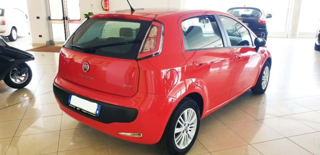 Fiat Punto Evo 1.3 Mjt 75 CV DPF 5 porte S&S Dynamic usato a POGGIARDO