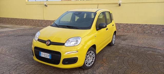 Fiat Panda 1.0 FireFly S&S Hybrid+Pack City usato a CAPPELLE SUL TAVO