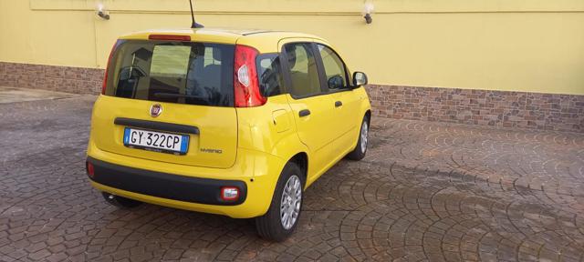 Fiat Panda 1.0 FireFly S&S Hybrid+Pack City - foto 3 di 4