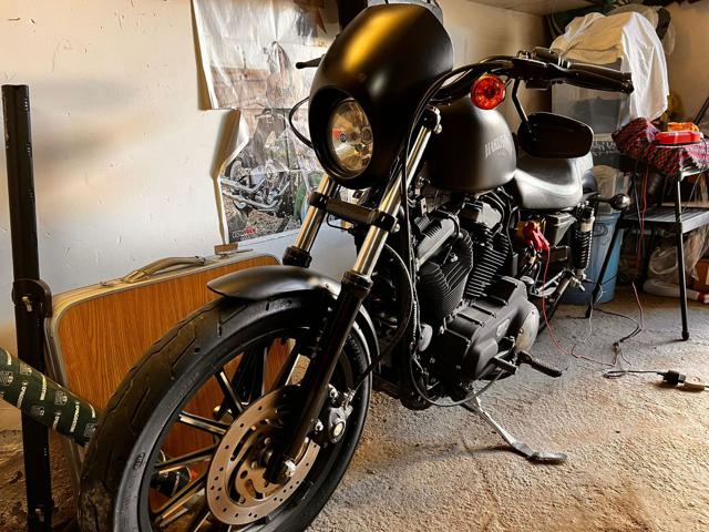 MOTOS-BIKES Harley Davidson 883 usato a CAPPELLE SUL TAVO