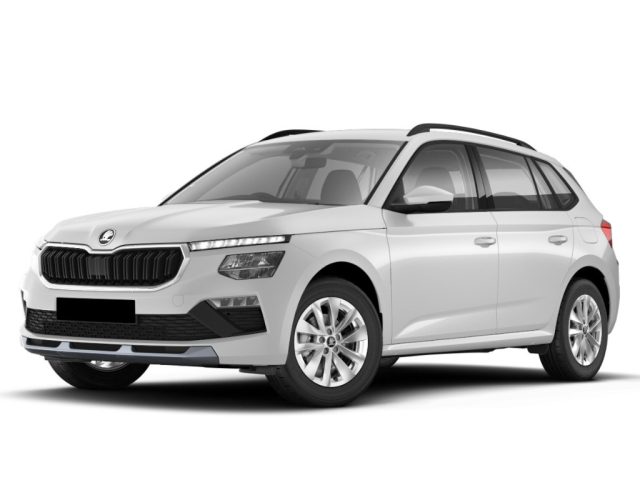 Skoda Kamiq 1.0 TSI Ambition usato a CONCESIO