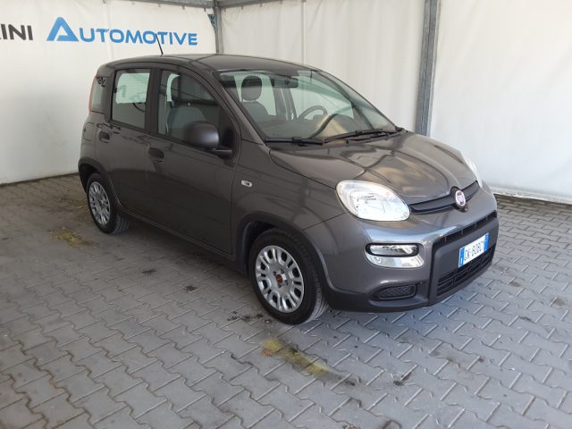 Fiat Panda 1.0 FireFly 70cv Hybrid *solo 19.700 Km* - foto 2 di 4