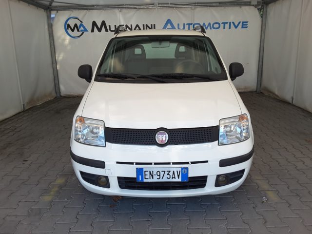 Fiat Panda 1.2 69cv Active *EURO 5*, del 2012, 77.500 km, in vendita a Firenze (FI)