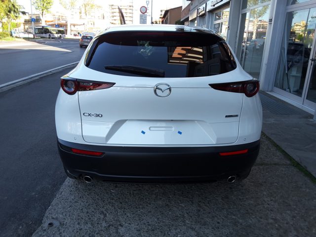 Mazda CX-30 2.5L e-Skyactiv-G 140cv M Hybrid 6AT Homura, in vendita a Firenze (FI)