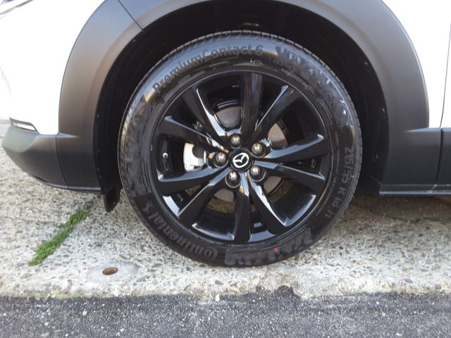 Mazda CX-30 2.5L e-Skyactiv-G 140cv M Hybrid 6AT Homura, in vendita a Firenze (FI)
