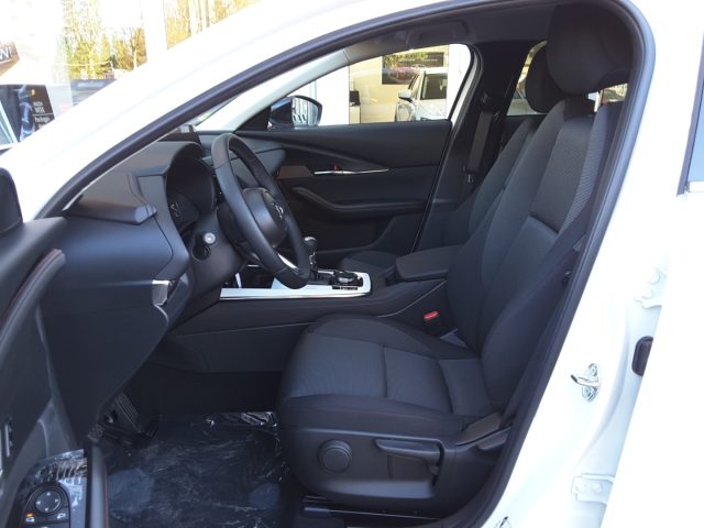 Mazda CX-30 2.5L e-Skyactiv-G 140cv M Hybrid 6AT Homura, in vendita a Firenze (FI)