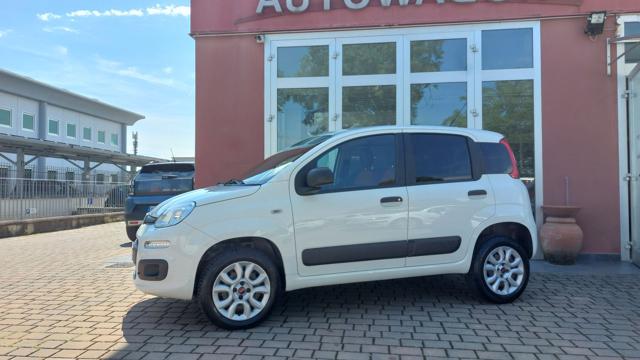 Fiat Panda 0.9 T.Air Turbo S&S 4x4 Pop Van 2 posti 80.000 Km - foto 4 di 4