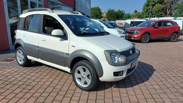 Fiat Panda 1.3 MJT 16V DPF 4x4 Cross usato a CIVITELLA IN VAL DI CHIANA