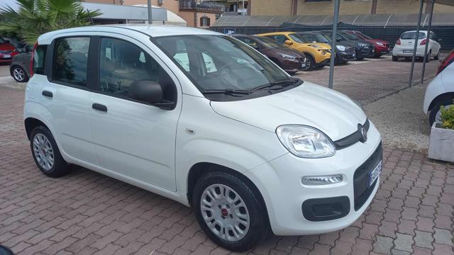 Fiat Panda 1.0 S&S Hybrid usato a ROMA