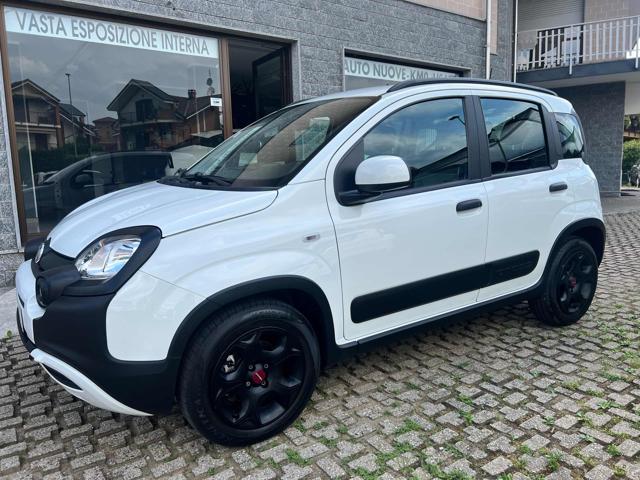 Fiat Panda Cross 1.0 FireFly S&S Hybrid usato a RIVOLI