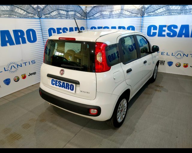 Fiat New Panda 1.0 Hybrid 70cv 5 posti - foto 3 di 4