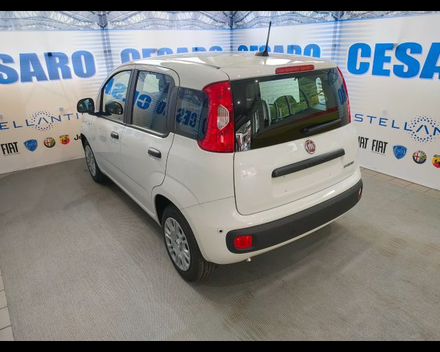 Fiat Panda 1.0 firefly hybrid Icon s&s 70cv 5p.ti - foto 4 di 4