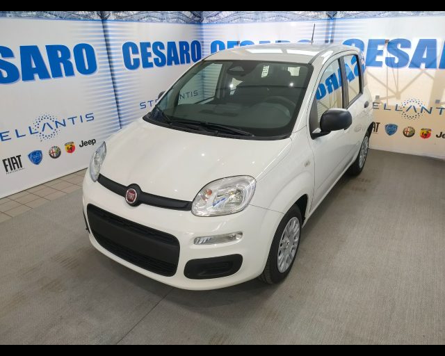 Fiat Panda 1.0 firefly hybrid Icon s&s 70cv 5p.ti - foto 2 di 4