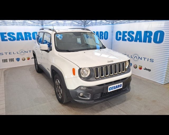 Jeep Renegade 1.6 mjt 120cv Longitude, del 2015, 177.152 km, in vendita a Pont-Saint-Martin (AO)