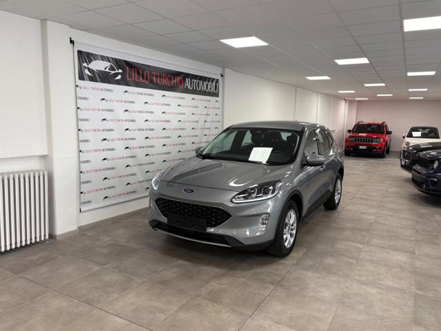 Ford Kuga 1.5 EcoBoost 150 CV 2WD Cool&Connect usato a TORINO