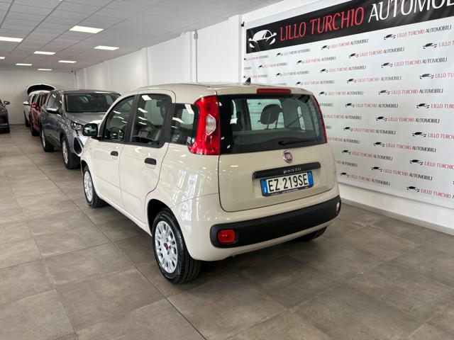 Fiat Panda 1.2 Easy PREZZO REALE! - foto 4 di 4