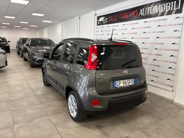 Fiat Panda 1.0 FireFly S&S Hybrid 5 POSTI PREZZO REALE! - foto 4 di 4