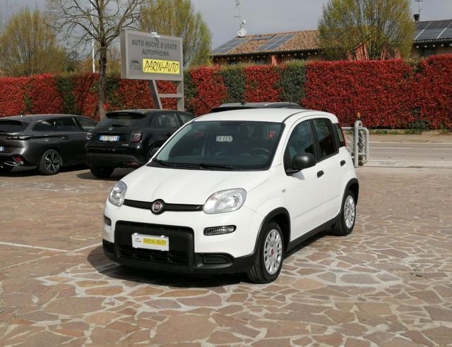 Fiat Panda 1.0 FireFly S&S Hybrid 4 Posti usato a VEDELAGO