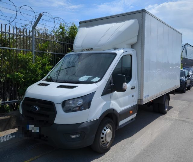 Ford Transit 350 2.0TDCi Eco MHEV 170CV Trend CASSA 8 BANCALICA usato a MARUGGIO