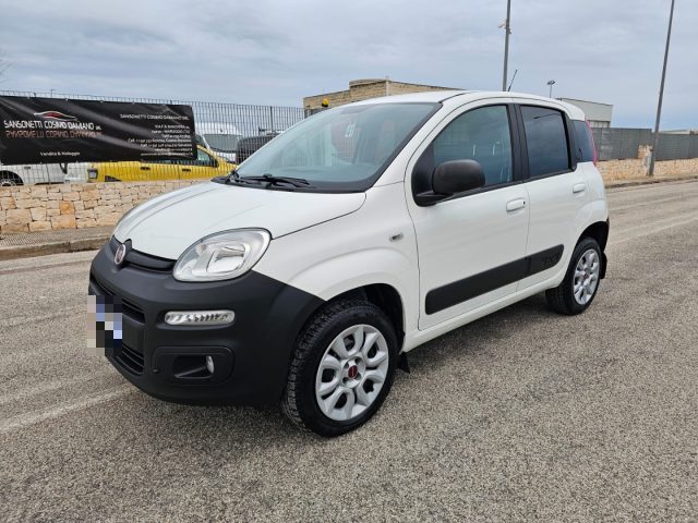 Fiat Panda 1.3 MJT S&S 4x4 Pop Climbing Van 2 posti usato a MARUGGIO