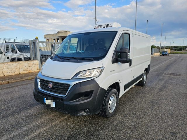 Fiat Ducato 28 2.0 MJT 120CV PC FRIGO 0° usato a MARUGGIO